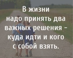 kogo.jpg