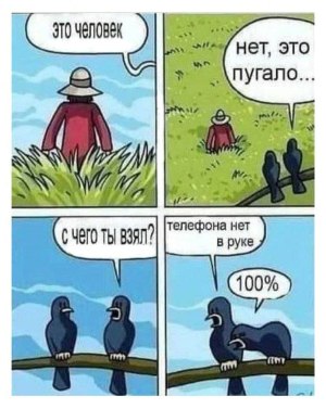 net_telefona.jpg