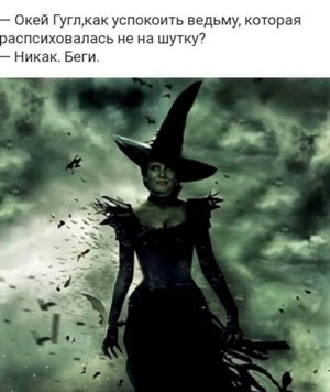 vedima.jpg