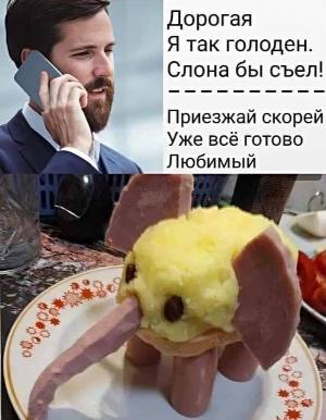 slona.jpg