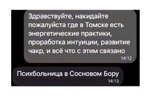 v_sosnovom_boru.jpg