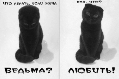 vedima9.jpg