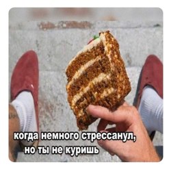 tortik.jpg