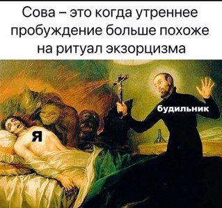 sova.jpg