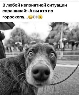 a_vi_kto.jpg