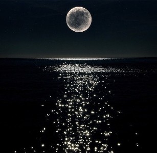 luna3.jpg