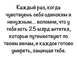 antitela.jpg