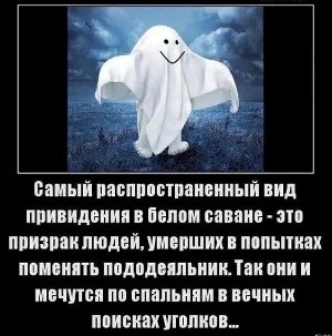 prirvid.jpg